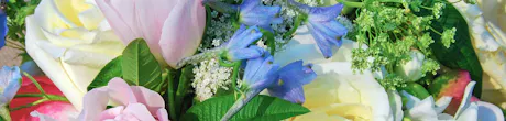 Close-up of white roses, pink tulips, blue delphinium, greenery, and flowers in a colorful get well bouquet