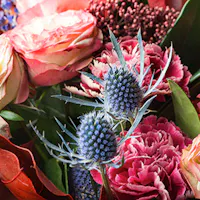A vibrant bouquet contains numerous pink roses, pink carnations, and spiky blue thistles amidst lush green leaves, creating a rich, colorful floral arrangement.