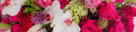 Close-up of a vibrant mixed floral arrangement featuring hot pink roses, white orchids, red carnations, green celosia, allium, and assorted premium blooms.