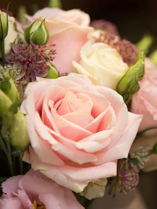 Close-up of a blush pink rose surrounded by white roses, lisianthus, and textured garden flowers