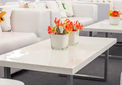 Two vibrant orange floral arrangements stand in stark contrast to the white, clinical, corporate setting
