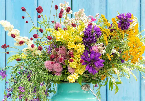 A vibrant bouquet of assorted colorful flowers situated in a teal pitcher against a bright blue wooden background.