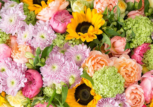 Sunflowers mixed with pink, orange, purple and green accent flowers