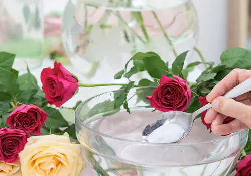 A recipe card provides steps for extending a bouquet's lifespan with flower food. Ingredients: flower food, lukewarm water, clean vase, sharp scissors. Directions include cleaning the vase, mixing flower food, trimming stems, arranging flowers, monitoring, and refreshing them.