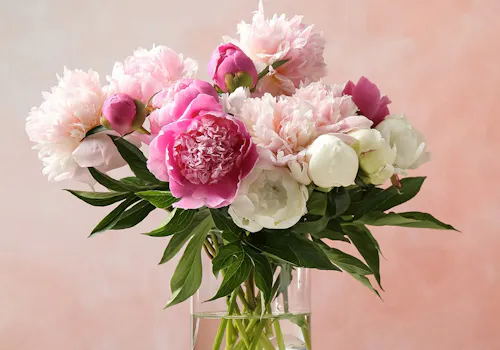 A recipe card provides steps for extending a bouquet's lifespan with flower food. Ingredients: flower food, lukewarm water, clean vase, sharp scissors. Directions include cleaning the vase, mixing flower food, trimming stems, arranging flowers, monitoring, and refreshing them.