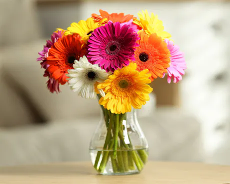 Colorful gerbera daisy bouquet with pink, orange, yellow, red, and white flowers arranged in a clear glass vase