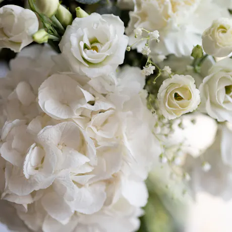 Close-up of elegant white hydrangea, lisianthus, carnations, and baby's breath in a soft all-white floral arrangement