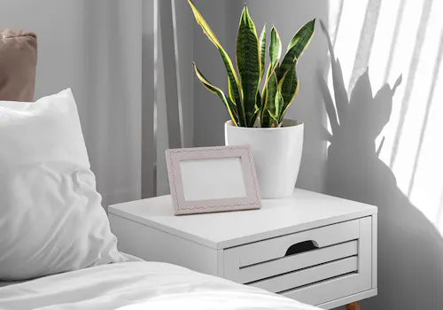 A potted snake plant and an empty picture frame rest on a white bedside table with drawers beside a bed with white linens in a brightly lit room.