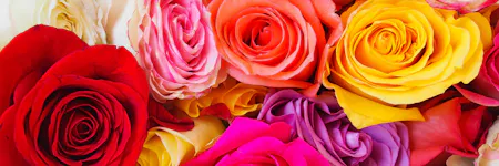 Vibrant flowers in assorted colors including red, orange, white, and purple are arranged together, surrounded by green leaves and purple ribbon, creating a visually stunning bouquet.
