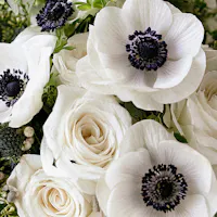 White anemones with dark centers arranged among white roses and greenery
