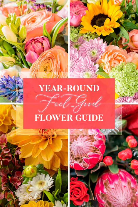 Year-round feel-good flower guide