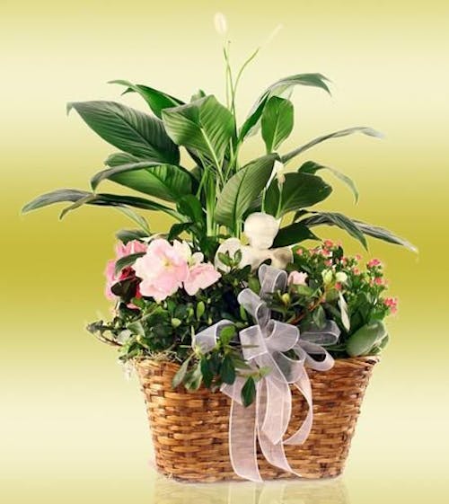 Angel Garden Vogts Flint Flowers MI Flushing Grand Blanc Florist Fenton