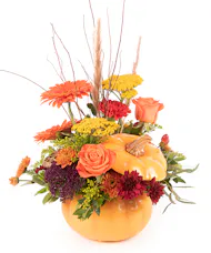 Pumpkin & Petals