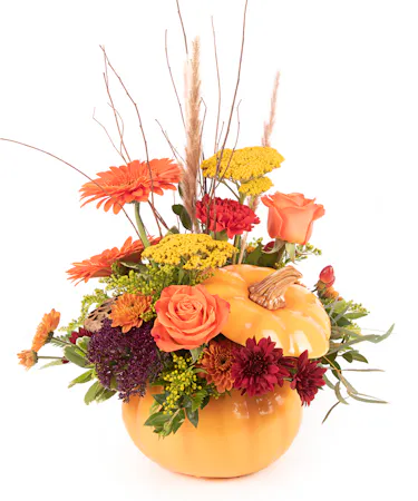 Pumpkin & Petals
