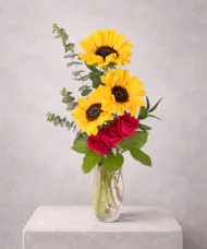 Sunny Roses