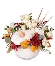 White Pumpkin Petals