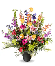 Colorful Remembrance