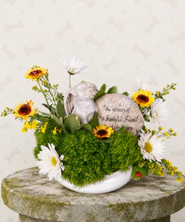 Daisy, Mini Sunflower and Green Trick Dianthus Arrangement