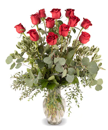 One dozen long stem red roses