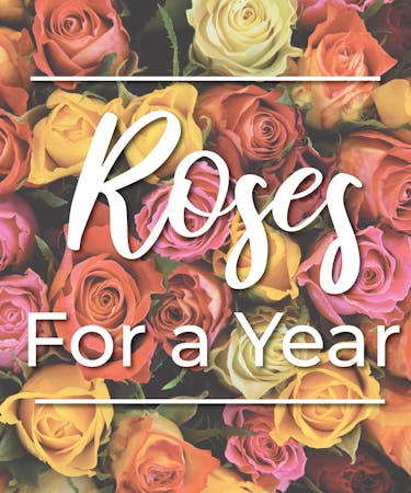 Roses for a Year!