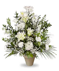 White Delight