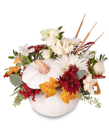 White Rose, Gerbera Daisy, and Mums Arrangement