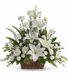 Peaceful White Lilies