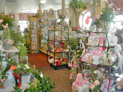 Take a step inside our bright, welcoming Flint showroom